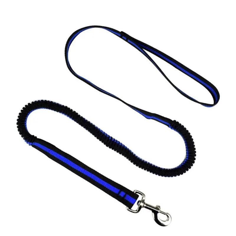 Large Dogs Cats Leash Elastic Pet Cat Puppy Dog anti Dash Pull Dog Lead Leash 190Cm Retractable Leash for Dogs Collar