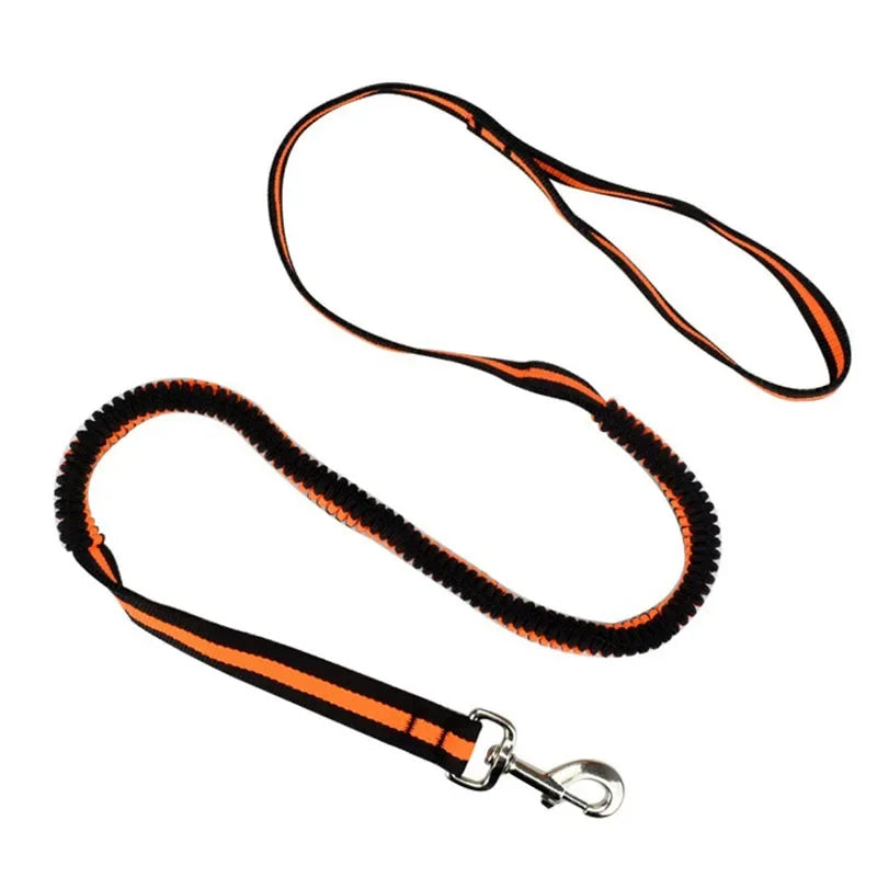 Large Dogs Cats Leash Elastic Pet Cat Puppy Dog anti Dash Pull Dog Lead Leash 190Cm Retractable Leash for Dogs Collar