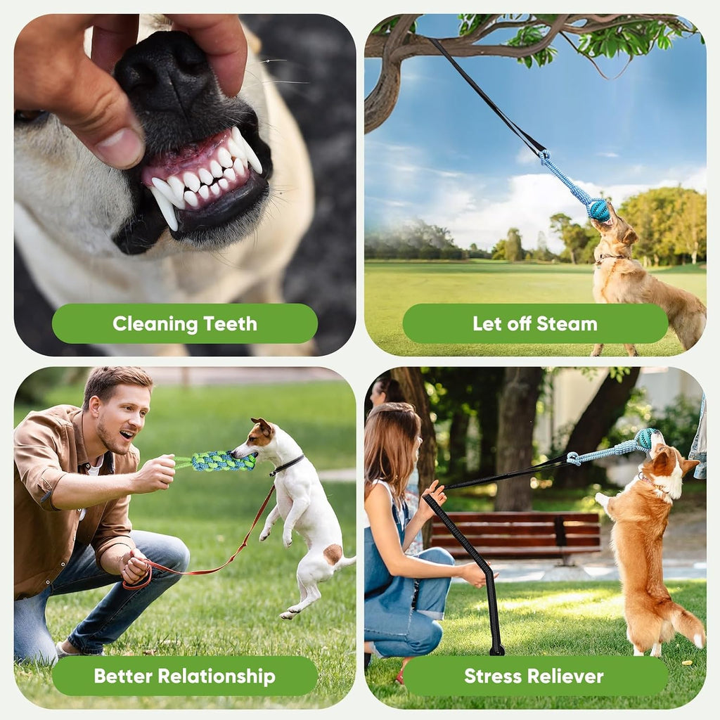 Dog Bungee Toy 5.2Ft for Medium Dogs,Interactive Dog Tug of War Toys Set, Bungee Tether Set with Rope & Ball for Hanging on Trees, Doors,Not for Aggressive Chewers