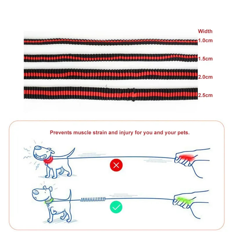 Large Dogs Cats Leash Elastic Pet Cat Puppy Dog anti Dash Pull Dog Lead Leash 190Cm Retractable Leash for Dogs Collar
