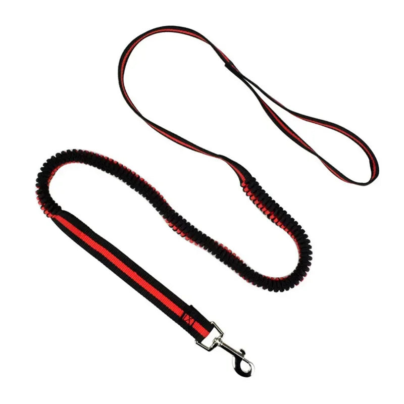 Large Dogs Cats Leash Elastic Pet Cat Puppy Dog anti Dash Pull Dog Lead Leash 190Cm Retractable Leash for Dogs Collar