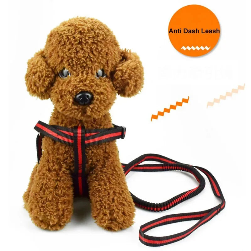 Large Dogs Cats Leash Elastic Pet Cat Puppy Dog anti Dash Pull Dog Lead Leash 190Cm Retractable Leash for Dogs Collar