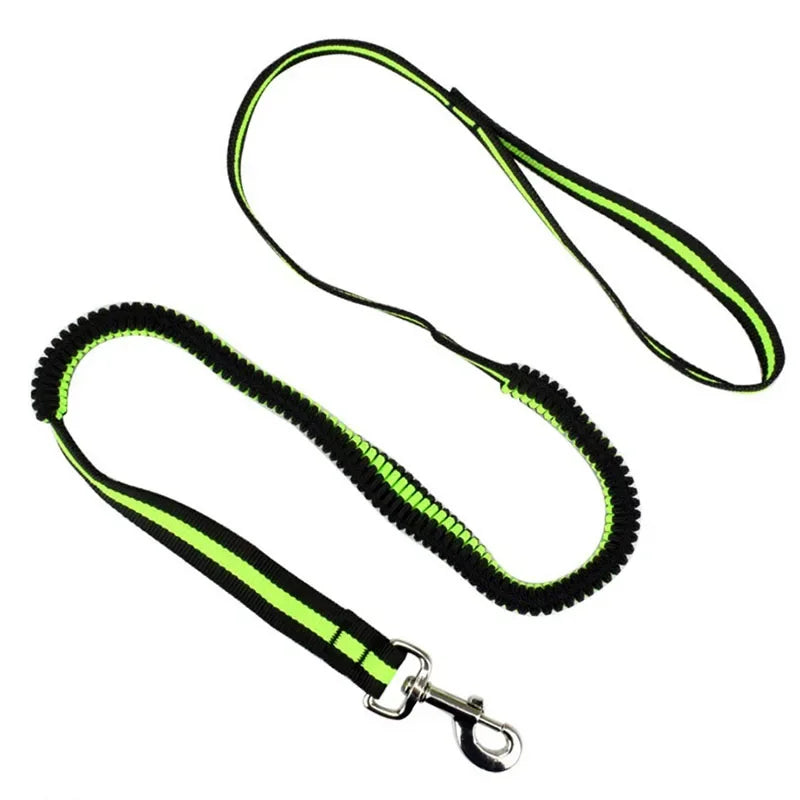 Large Dogs Cats Leash Elastic Pet Cat Puppy Dog anti Dash Pull Dog Lead Leash 190Cm Retractable Leash for Dogs Collar