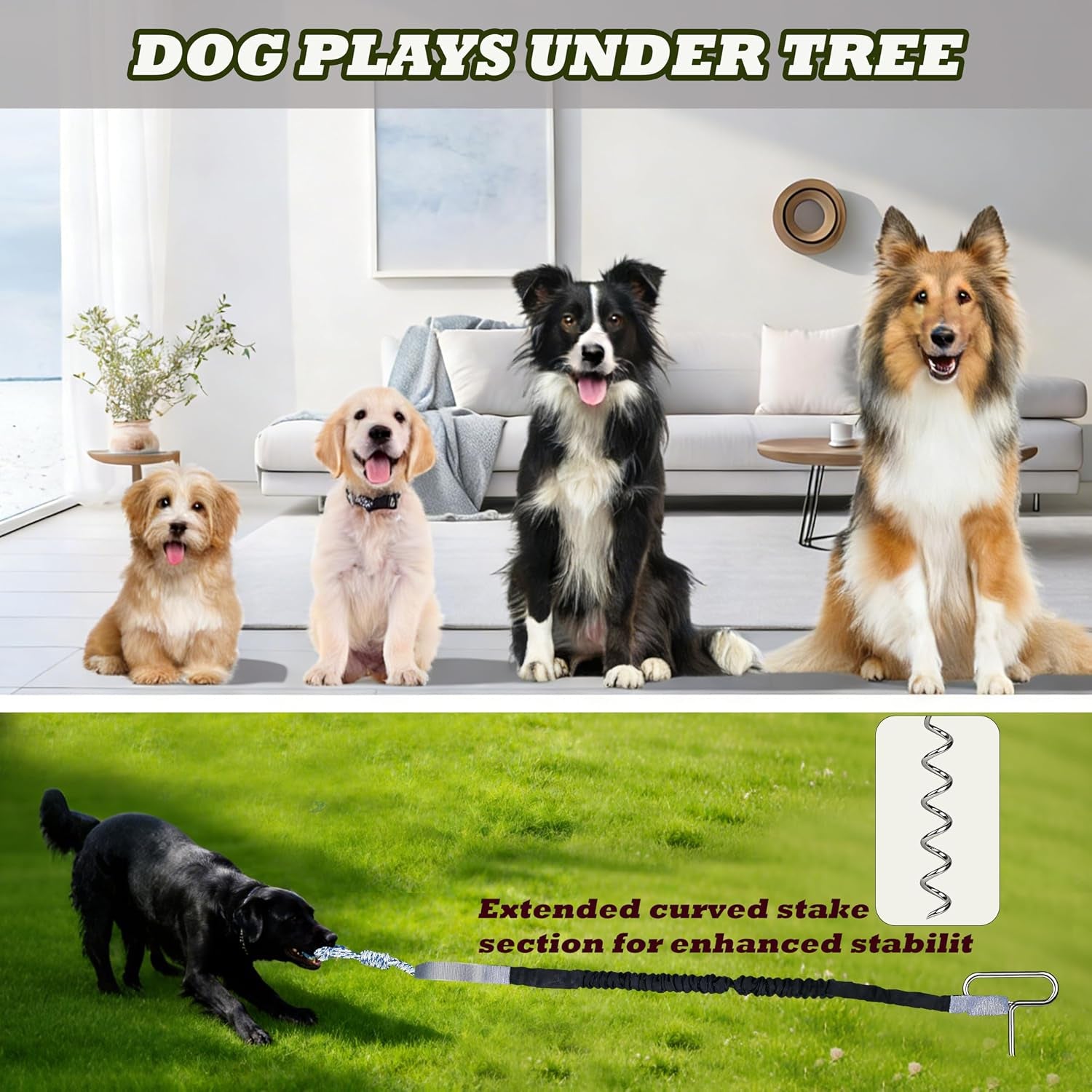 Dog Bungee Tug Toy with Steel Stake & 2 Chew Balls, 6.8Ft Stretch Rope Tug Toy - Tether Tug for Large/Medium/Small Dogs - Outdoor/Outside Dog Tug of War Toy (Lawn/Tree Use)