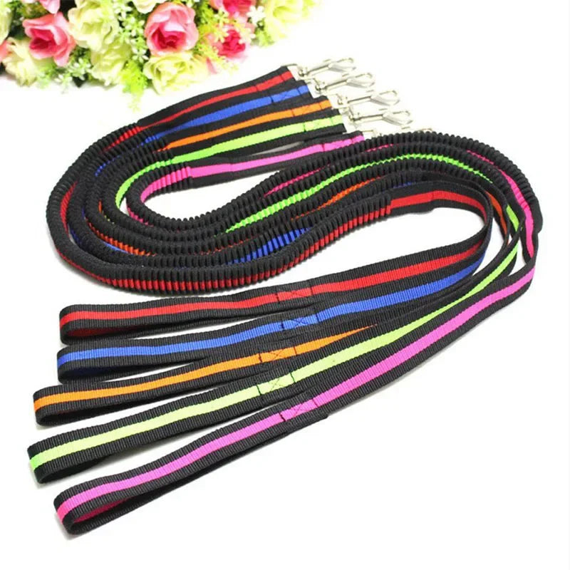 Large Dogs Cats Leash Elastic Pet Cat Puppy Dog anti Dash Pull Dog Lead Leash 190Cm Retractable Leash for Dogs Collar