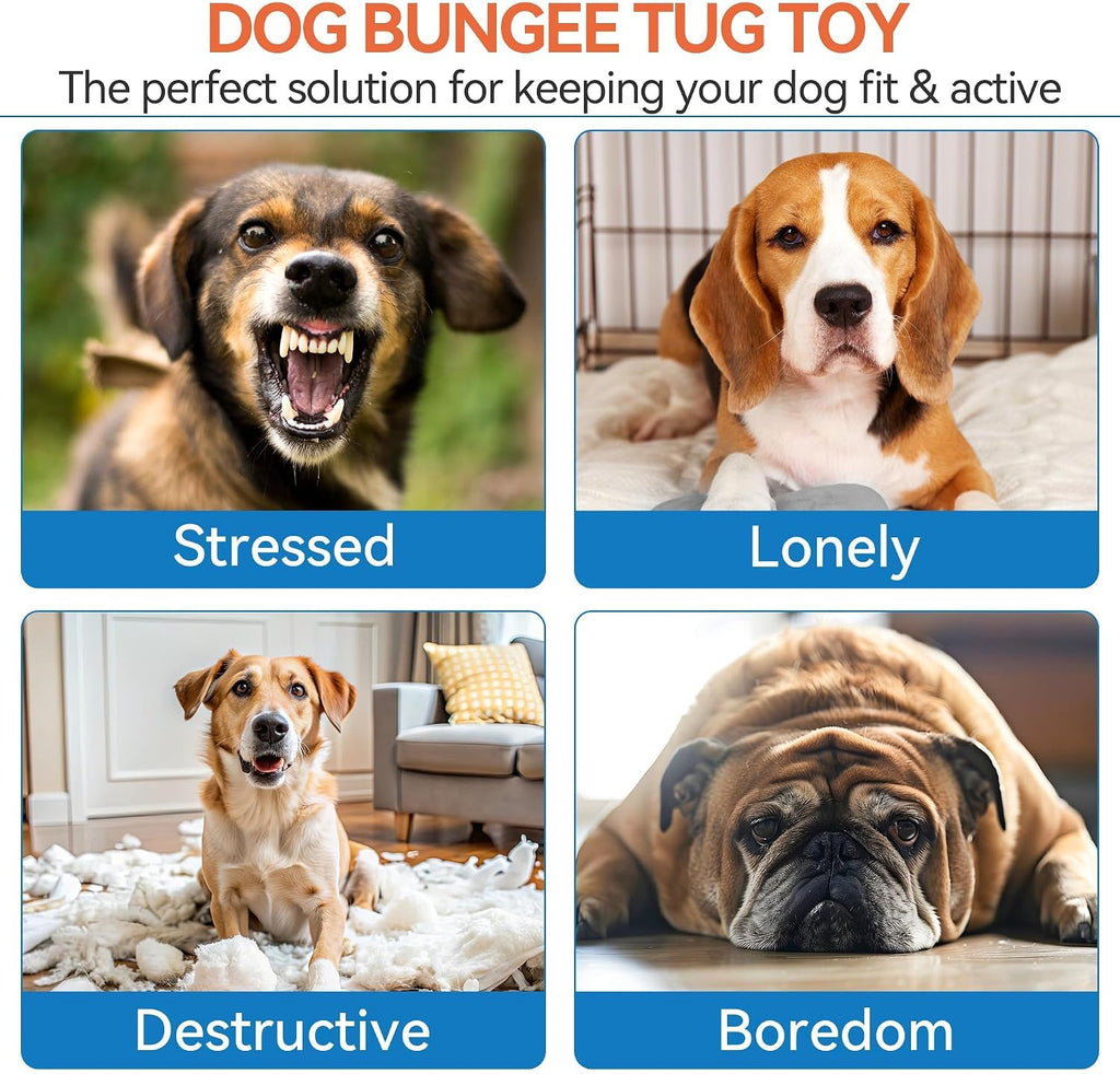 Dog Bungee Tug Toy, Outdoor Hanging Bungee from Tree for Chase & Tug Fun, Interactive Tug-Of-War Toy for Small and Medium Dogs, Bungee Cord with Dog Rope Toy & Soft Chew Toy
