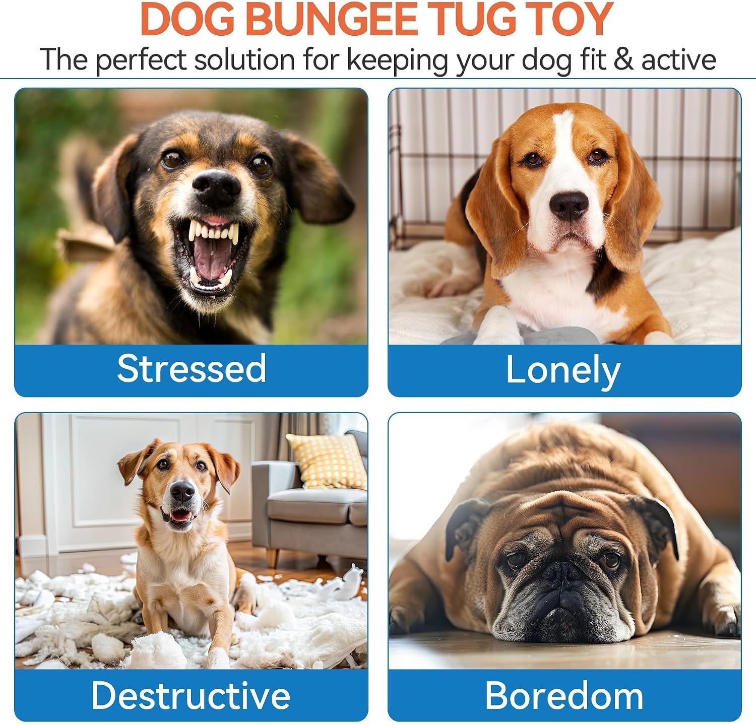 Dog Bungee Tug Toy, Outdoor Hanging Bungee from Tree for Chase & Tug Fun, Interactive Tug-Of-War Toy for Small and Medium Dogs, Bungee Cord with Dog Rope Toy & Soft Chew Toy