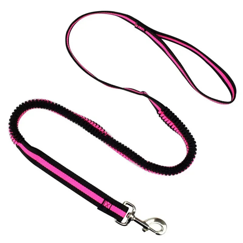 Large Dogs Cats Leash Elastic Pet Cat Puppy Dog anti Dash Pull Dog Lead Leash 190Cm Retractable Leash for Dogs Collar