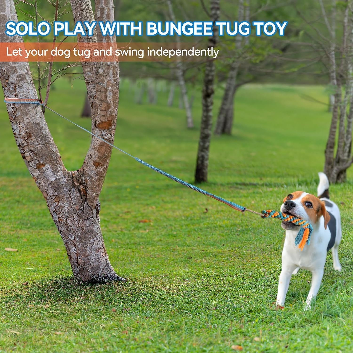 Dog Bungee Tug Toy, Outdoor Hanging Bungee from Tree for Chase & Tug Fun, Interactive Tug-Of-War Toy for Small and Medium Dogs, Bungee Cord with Dog Rope Toy & Soft Chew Toy